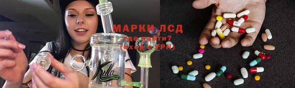 стафф Алзамай