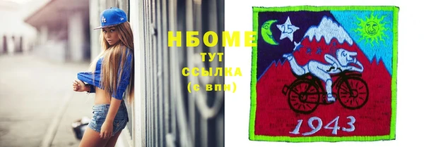 стафф Алзамай
