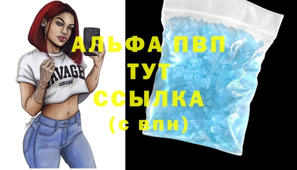 стафф Алзамай