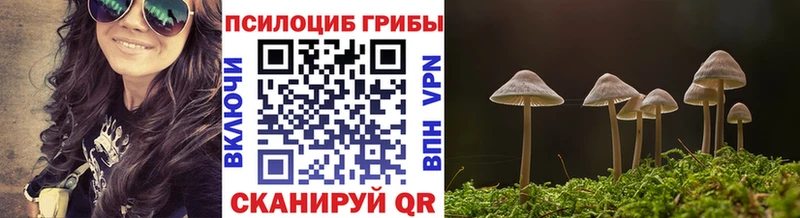 как найти наркотики  Сосновый Бор  Галлюциногенные грибы мухоморы 