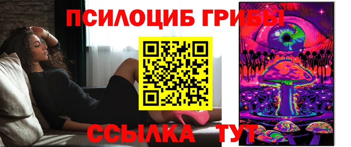 Псилоцибиновые грибы Cubensis Сосновый Бор