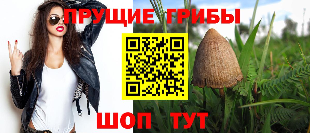 Псилоцибиновые грибы мухоморы  Галлюциногенные грибы Magic Shrooms  Сосновый Бор  Вход с VPN 